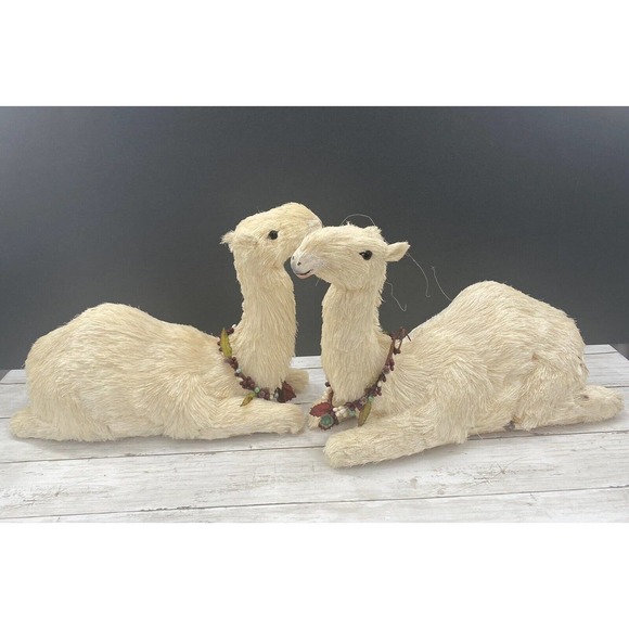 Trademark Exclusive Large Pair Decorative Nativity SITTING Lamas/Camels 11x16" - Picture 11 of 12